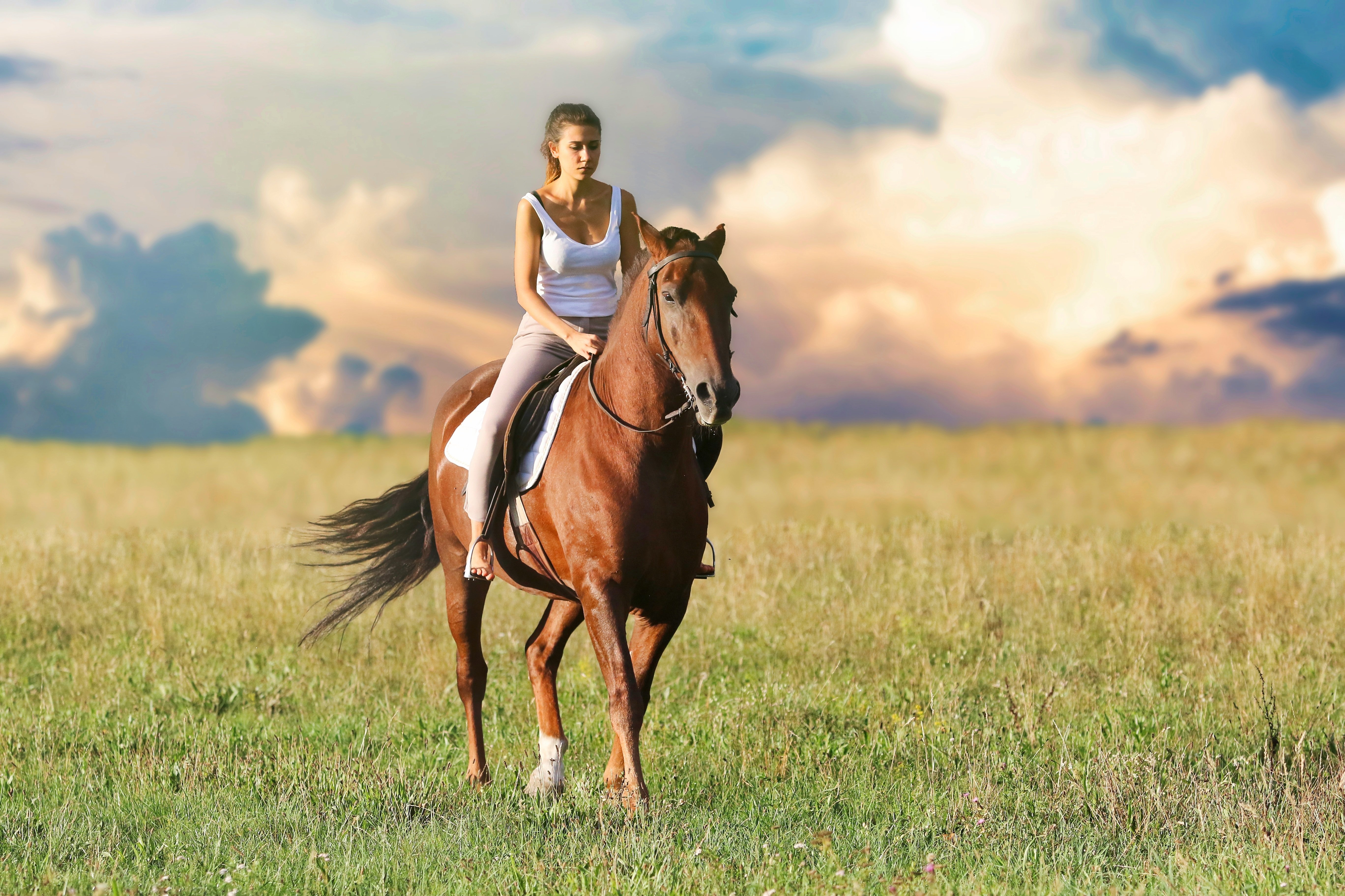 Horseback riding through the Tuscan countryside
